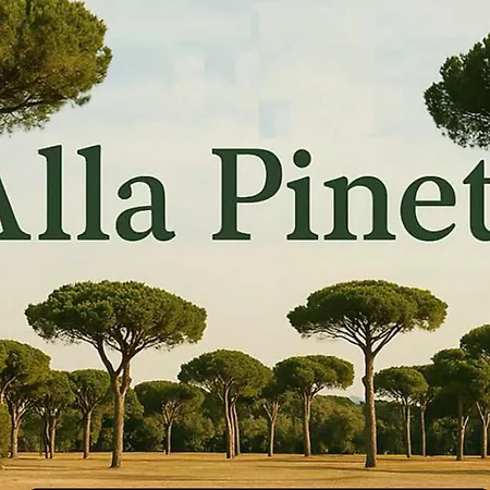 Pineta